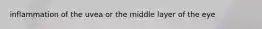 inflammation of the uvea or the middle layer of the eye