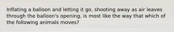 Inflating a balloon and letting it go, shooting away as air leaves through the balloon's opening, is most like the way that which of the following animals moves?