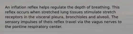 An inflation reflex helps regulate the depth of breathing. This reflex occurs when stretched lung tissues stimulate stretch receptors in the visceral pleura, bronchioles and alveoli. The sensory impulses of theis reflex travel via the vagus nerves to the pontine respiratory center.