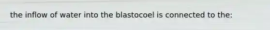 the inflow of water into the blastocoel is connected to the: