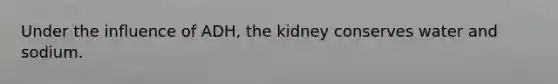 Under the influence of ADH, the kidney conserves water and sodium.