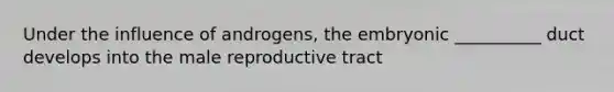 Under the influence of androgens, the embryonic __________ duct develops into the male reproductive tract