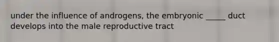 under the influence of androgens, the embryonic _____ duct develops into the male reproductive tract