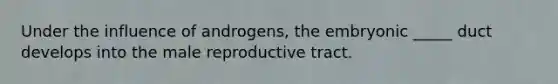 Under the influence of androgens, the embryonic _____ duct develops into the male reproductive tract.