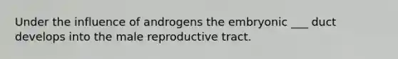 Under the influence of androgens the embryonic ___ duct develops into the male reproductive tract.