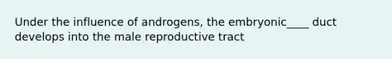 Under the influence of androgens, the embryonic____ duct develops into the male reproductive tract