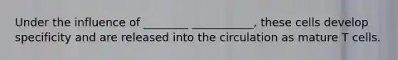 Under the influence of ________ ___________, these cells develop specificity and are released into the circulation as mature T cells.