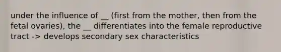 under the influence of __ (first from the mother, then from the fetal ovaries), the __ differentiates into the female reproductive tract -> develops secondary sex characteristics