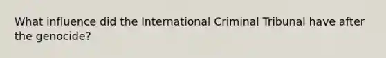 What influence did the International Criminal Tribunal have after the genocide?