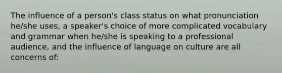 The influence of a person's class status on what pronunciation he/she uses, a speaker's choice of more complicated vocabulary and grammar when he/she is speaking to a professional audience, and the influence of language on culture are all concerns of: