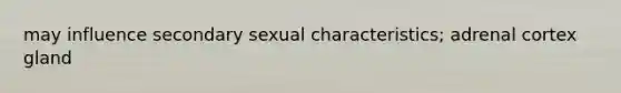 may influence secondary sexual characteristics; adrenal cortex gland