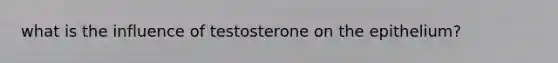 what is the influence of testosterone on the epithelium?