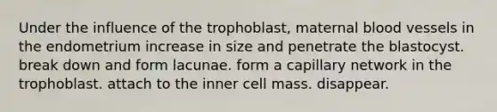 Under the influence of the trophoblast, maternal blood vessels in the endometrium increase in size and penetrate the blastocyst. break down and form lacunae. form a capillary network in the trophoblast. attach to the inner cell mass. disappear.