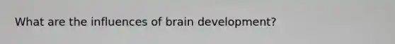 What are the influences of brain development?