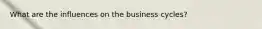 What are the influences on the business cycles?