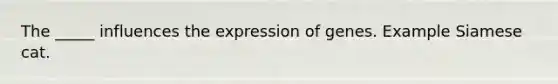 The _____ influences the expression of genes. Example Siamese cat.