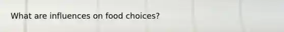 What are influences on food choices?