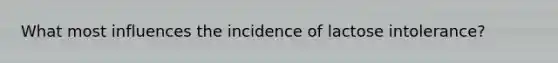 What most influences the incidence of lactose intolerance?