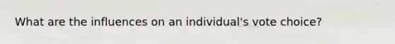 What are the influences on an individual's vote choice?