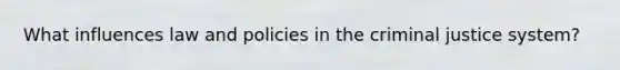 What influences law and policies in the criminal justice system?