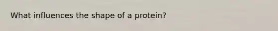 What influences the shape of a protein?