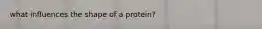 what influences the shape of a protein?