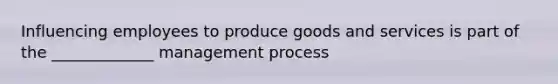 Influencing employees to produce goods and services is part of the _____________ management process