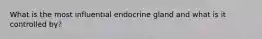 What is the most influential endocrine gland and what is it controlled by?