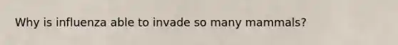 Why is influenza able to invade so many mammals?