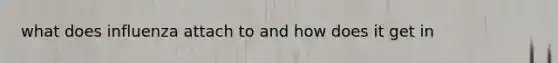 what does influenza attach to and how does it get in