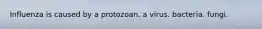 Influenza is caused by a protozoan. a virus. bacteria. fungi.