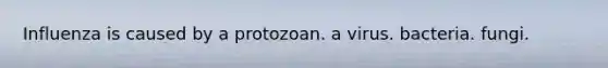 Influenza is caused by a protozoan. a virus. bacteria. fungi.