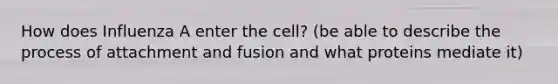 How does Influenza A enter the cell? (be able to describe the process of attachment and fusion and what proteins mediate it)