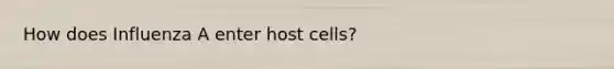 How does Influenza A enter host cells?