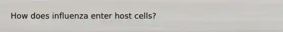 How does influenza enter host cells?