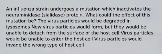 An influenza strain undergoes a mutation which inactivates the neuraminidase (sialidase) protein. What could the effect of this mutation be? The virus particles would be degraded in lysosomes New virus particles would form, but they would be unable to detach from the surface of the host cell Virus particles would be unable to enter the host cell Virus particles would invade the wrong type of host cell