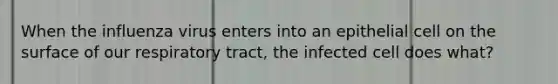 When the influenza virus enters into an epithelial cell on the surface of our respiratory tract, the infected cell does what?