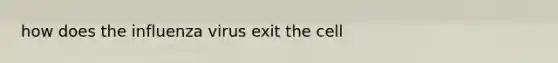 how does the influenza virus exit the cell