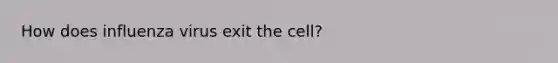 How does influenza virus exit the cell?