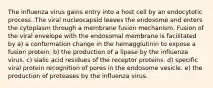 The influenza virus gains entry into a host cell by an endocytotic process. The viral nucleocapsid leaves the endosome and enters the cytoplasm through a membrane fusion mechanism. Fusion of the viral envelope with the endosomal membrane is facilitated by a) a conformation change in the hemagglutinin to expose a fusion protein. b) the production of a lipase by the influenza virus. c) sialic acid residues of the receptor proteins. d) specific viral protein recognition of pores in the endosome vesicle. e) the production of proteases by the influenza virus.