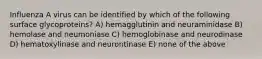 Influenza A virus can be identified by which of the following surface glycoproteins? A) hemagglutinin and neuraminidase B) hemolase and neumoniase C) hemoglobinase and neurodinase D) hematoxylinase and neurontinase E) none of the above