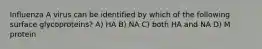 Influenza A virus can be identified by which of the following surface glycoproteins? A) HA B) NA C) both HA and NA D) M protein