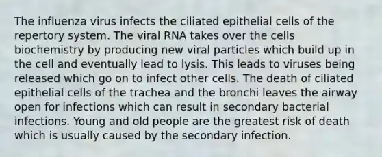 The influenza virus infects the ciliated epithelial cells of the repertory system. The viral RNA takes over the cells biochemistry by producing new viral particles which build up in the cell and eventually lead to lysis. This leads to viruses being released which go on to infect other cells. The death of ciliated epithelial cells of the trachea and the bronchi leaves the airway open for infections which can result in secondary bacterial infections. Young and old people are the greatest risk of death which is usually caused by the secondary infection.