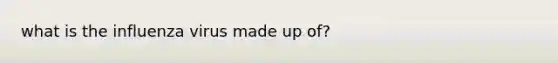 what is the influenza virus made up of?