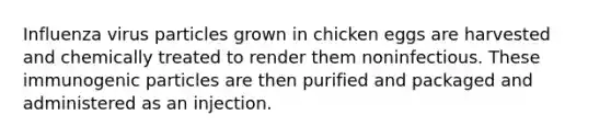 Influenza virus particles grown in chicken eggs are harvested and chemically treated to render them noninfectious. These immunogenic particles are then purified and packaged and administered as an injection.