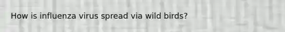 How is influenza virus spread via wild birds?