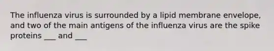 The influenza virus is surrounded by a lipid membrane envelope, and two of the main antigens of the influenza virus are the spike proteins ___ and ___