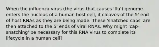 When the influenza virus (the virus that causes 'flu') genome enters the nucleus of a human host cell, it cleaves of the 5' end of host RNAs as they are being made. These 'snatched caps' are then attached to the 5' ends of viral RNAs. Why might 'cap- snatching' be necessary for this RNA virus to complete its lifecycle in a human cell?