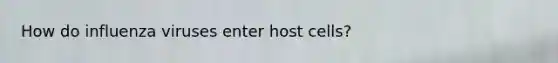 How do influenza viruses enter host cells?