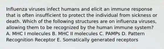 Influenza viruses infect humans and elicit an immune response that is often insufficient to protect the individual from sickness or death. Which of the following structures are on influenza viruses, allowing them to be recognized by the human immune system? A. MHC I molecules B. MHC II molecules C. PAMPs D. Pattern Recognition Receptor E. Somatically generated receptors